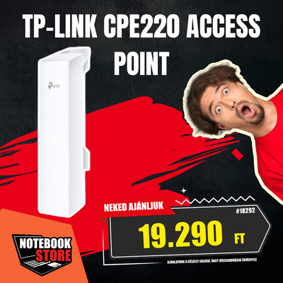 TP-LINK Wireless Access Point N-es 300Mbps Kültéri (CPE220)