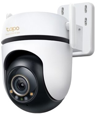 TP-LINK Wireless Kamera Cloud kültéri forgatható színes éjjellátó (TAPO C530WS)