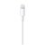 Apple Lightning to USB-A kábel 1 méter (MXLY2ZM/A) - Fehér szín