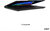 Lenovo ThinkPad T14s G7 Notebook (21YW0037HV) - 14.0" WUXGA, AMD Ryzen AI 5 Pro-440, 16GB RAM, 512GB SSD, Magyar billentyűzet, Windows 11 Professional, 3 év garancia, Fekete színben