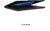 Lenovo ThinkPad T14s G7 Notebook (21YU00APHV) - 14.0" WUXGA, Intel Core Ultra 7-355, 32GB RAM, 512GB SSD, Magyar billentyűzet, Windows 11 Professional, 3 év garancia, Fekete színben